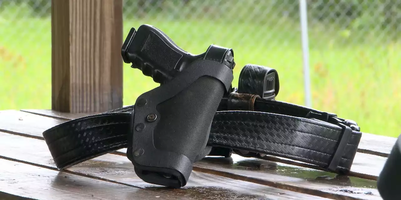 Geneva County Sheriff offering gun safety course in September