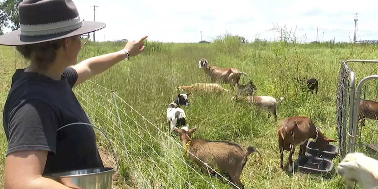 Why Mia Scott with Mt. Moriah Farms is proud to be a farmer