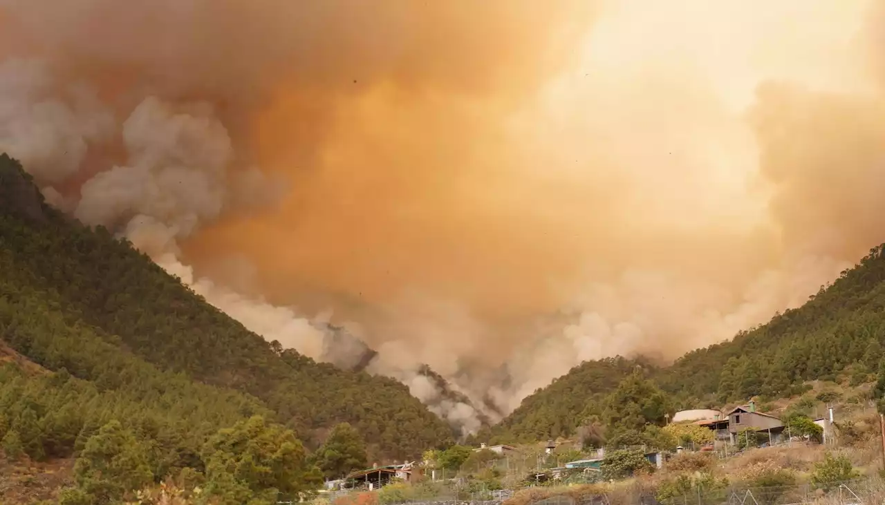 Voraz incendio arrasa con 800 hectáreas en Islas Canarias