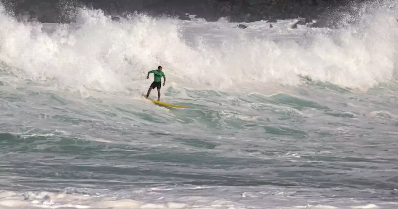 While some Lahaina survivors return, others take solace in the surf