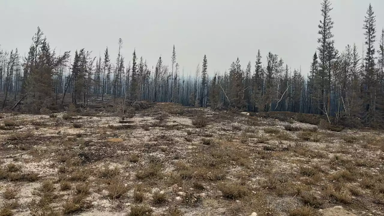 Wildfire nears capital of Canada's Northwest Territories as fleeing residents fill roads and flights