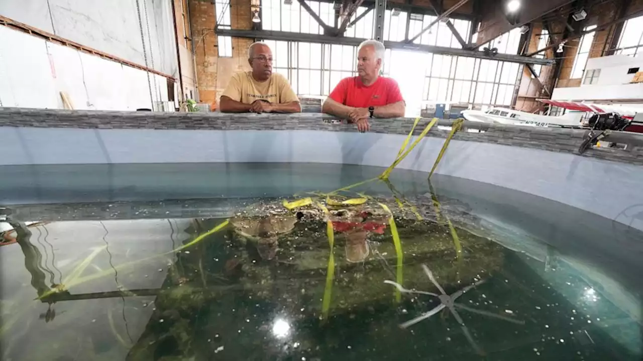 Wreckage from Tuskegee airman's plane that crashed during WWII training recovered from Lake Huron