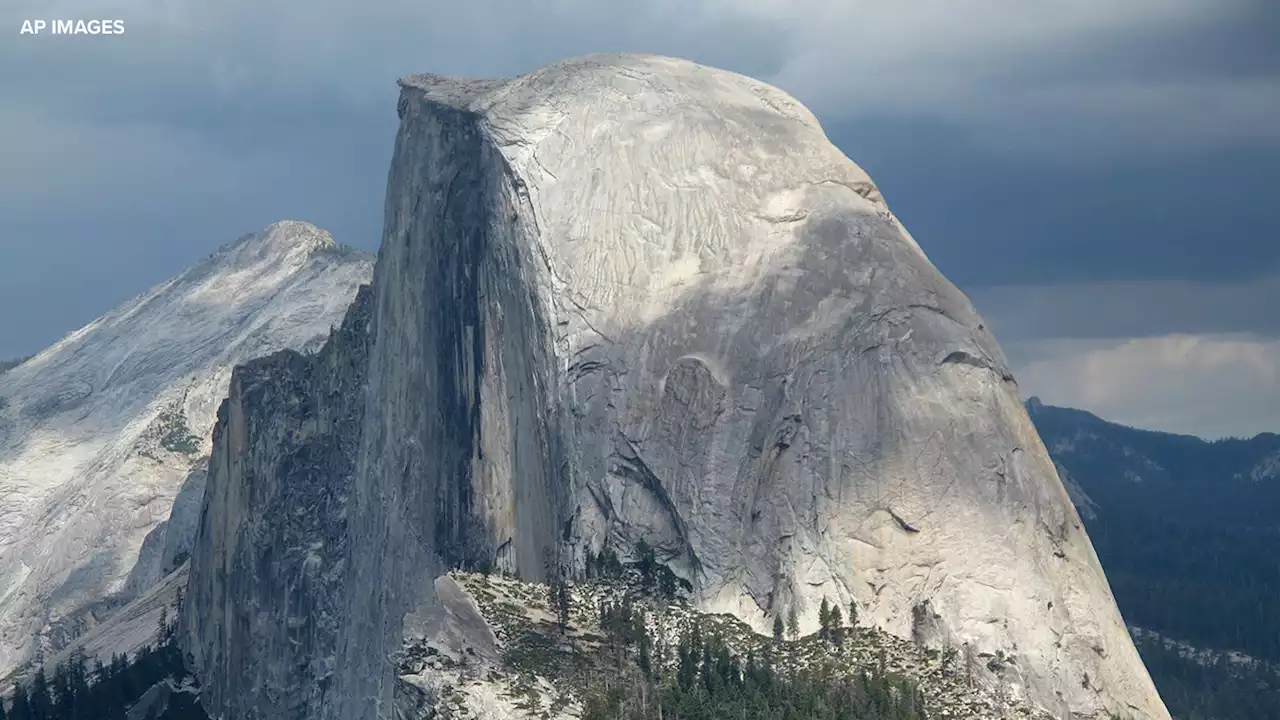 Recently discovered evidence points to bears climbing Yosemite's Half Dome