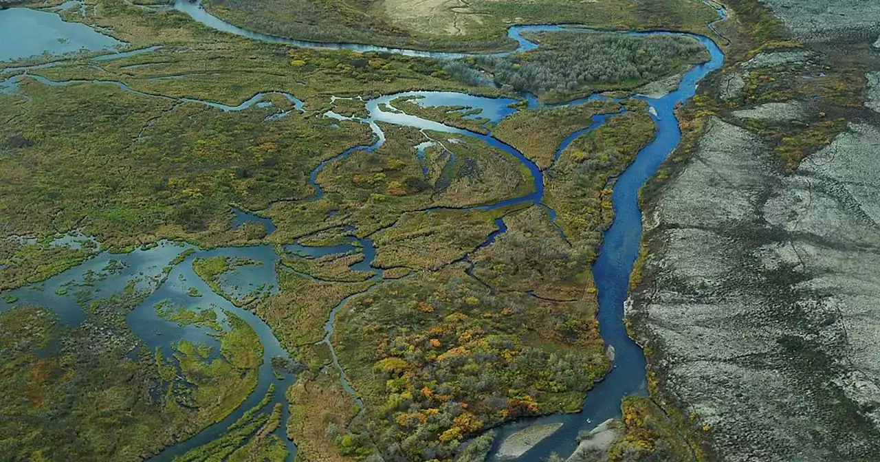 OPINION: Governor’s action supporting Pebble shows need for Alaskans to keep saying ‘no’