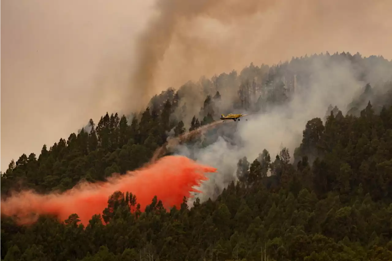 Canarie: incendio a Tenerife, in cenere 2.600 ettari - Primopiano