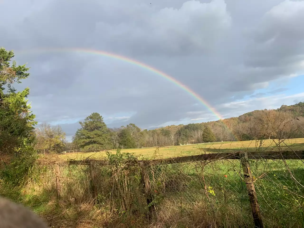 Alabama Power drops plan to remove homeowners on Chandler Mountain