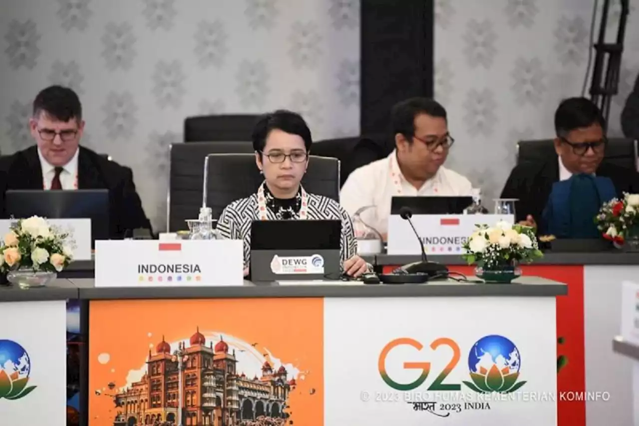 DELRI dorong ruang fleksibel untuk DPI di DEWG G20 India