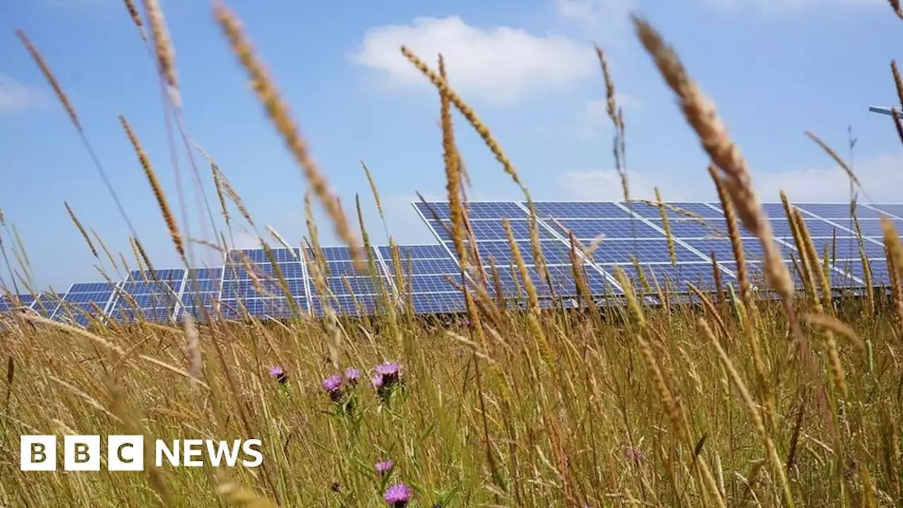 St Mary Bourne solar park: Plans to power 7,200 homes submitted