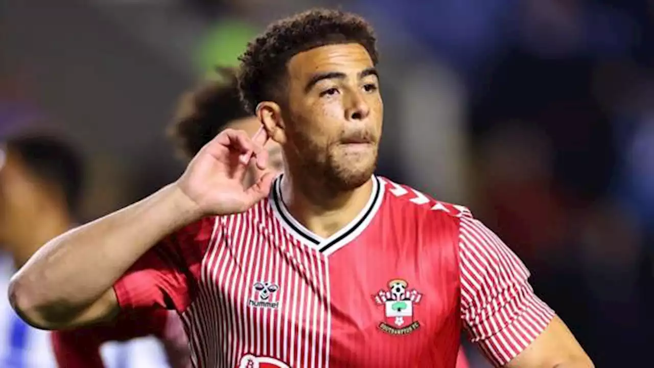 Everton in talks to sign Southampton striker Adams