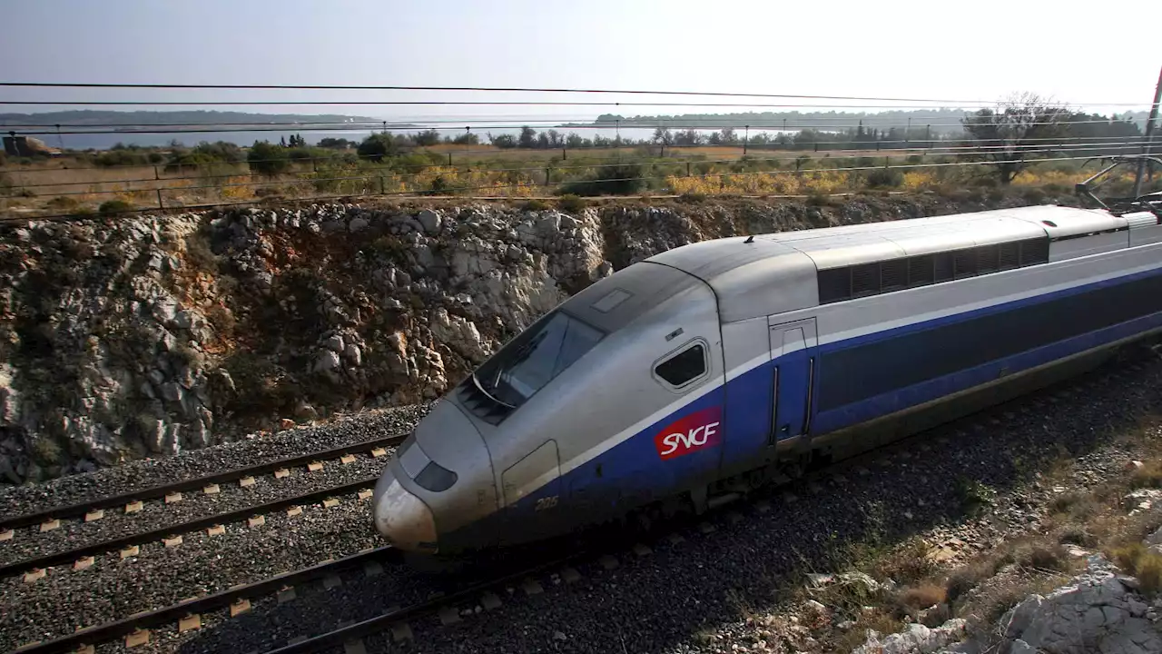 Canicule: comment la SNCF s'organise face aux journées de forte chaleur