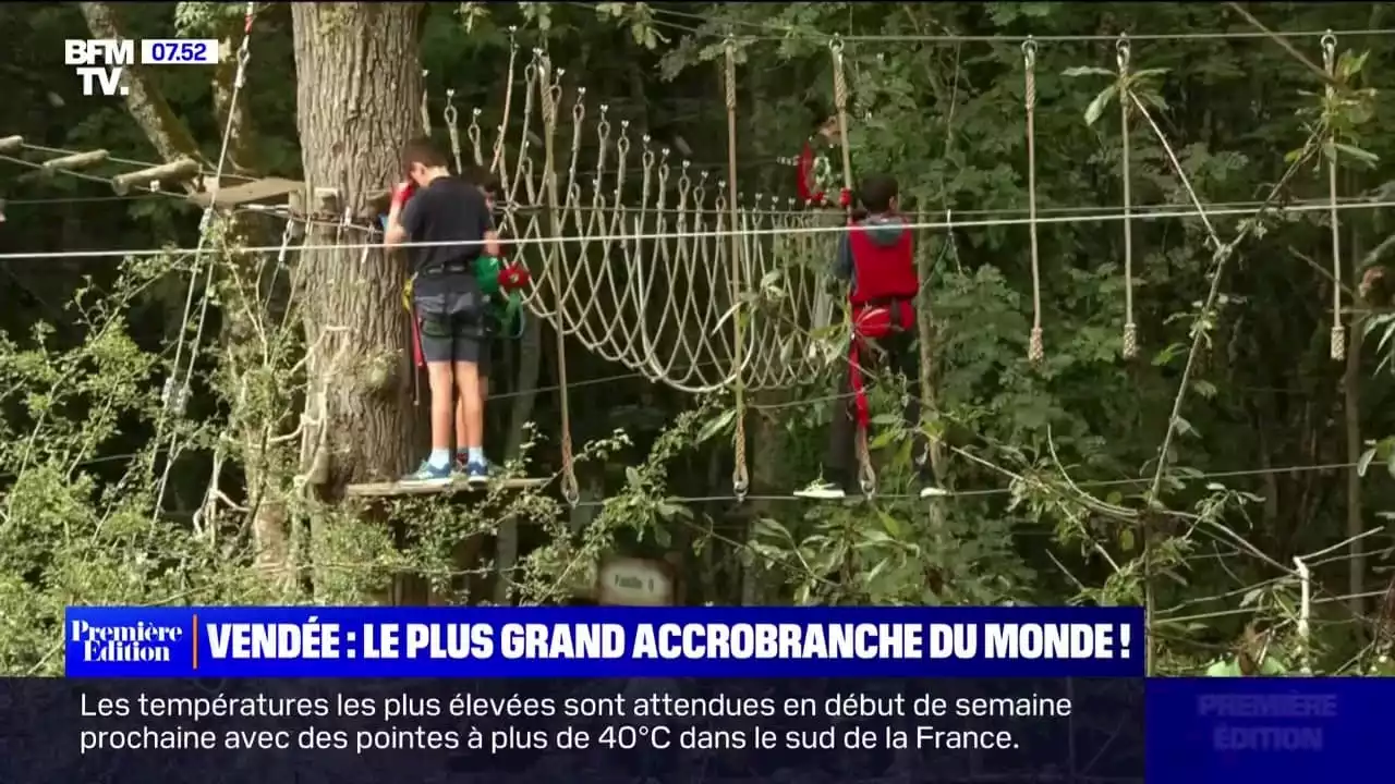 Vendée : le plus grand accrobranche du monde !