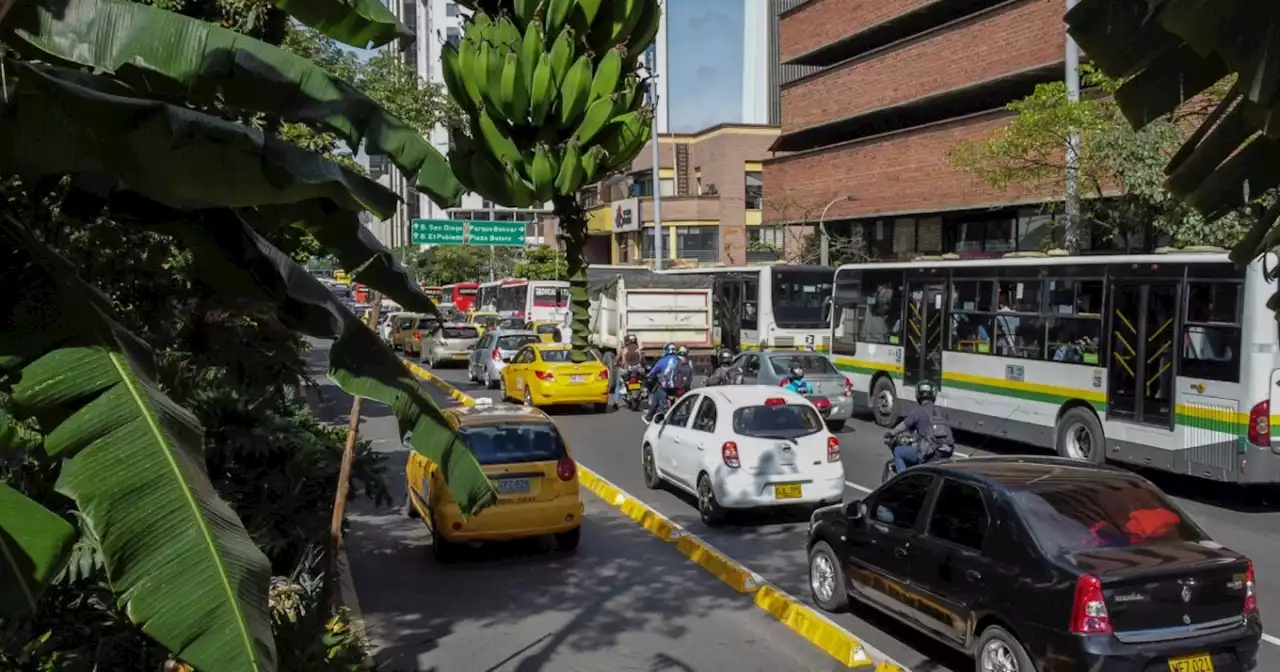 ¡Ojo! Así regirá el pico y placa Medellín y el Valle de Aburrá hoy viernes 18 de agosto