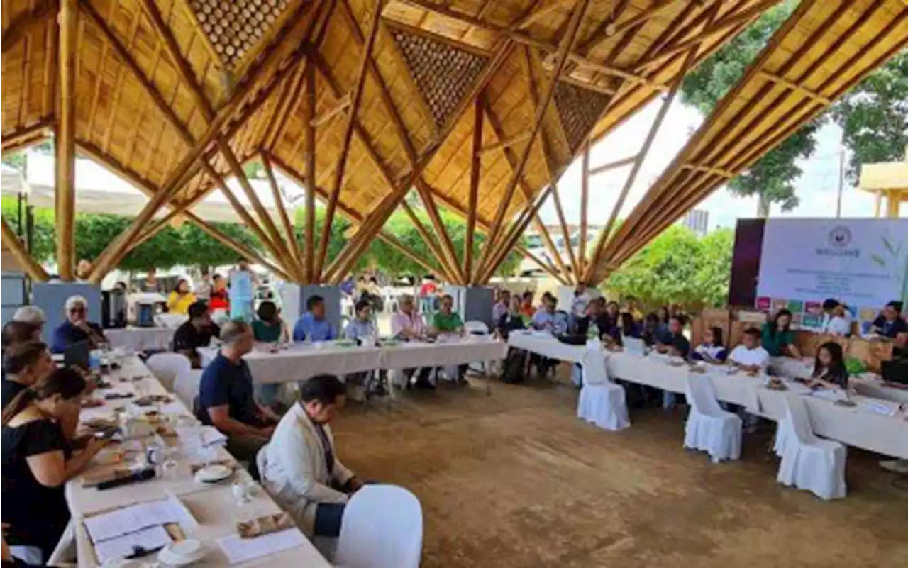 Group pushes use of engineered bamboo as school, home furniture | Miguel Gil / Philippine News Agency