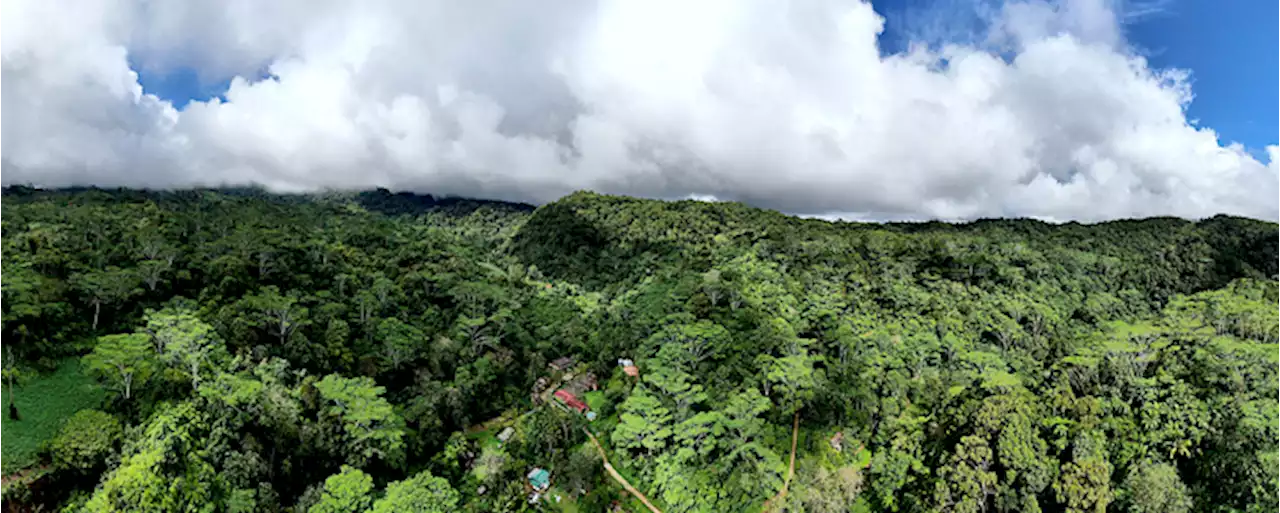 Philippine eagle’s important habitat: Pasonanca is PHL’s 10th Asean Heritage Park