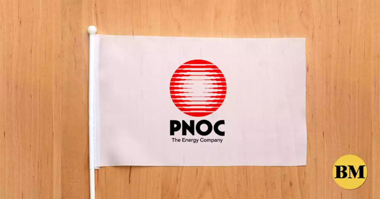 PNOC will redevelop port for OSW developers–exec