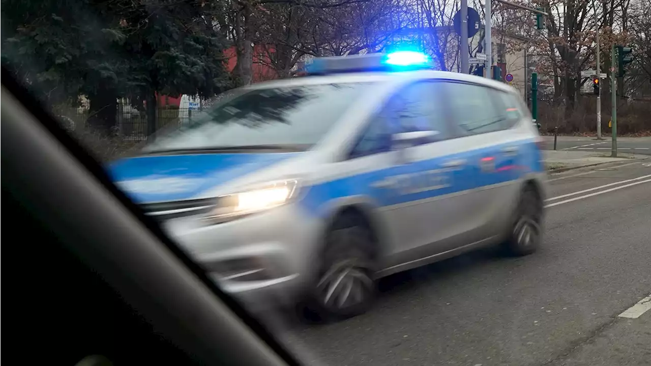 Mann legt sich vier Tage in Folge mit der Polizei an