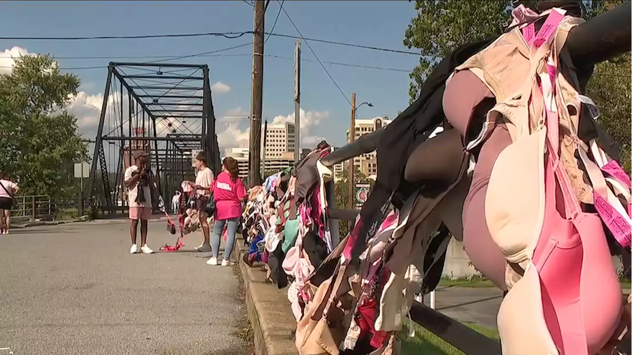 Bras Across the Bridge in Harrisburg raises $200,000 for breast cancer education programs