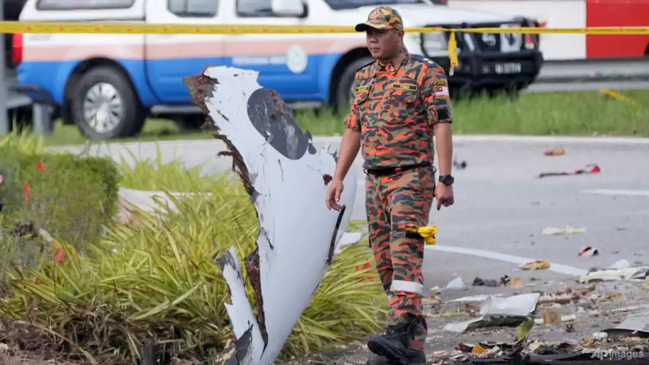 'I love you mama': Pilot's last words to his mother in Malaysia plane crash