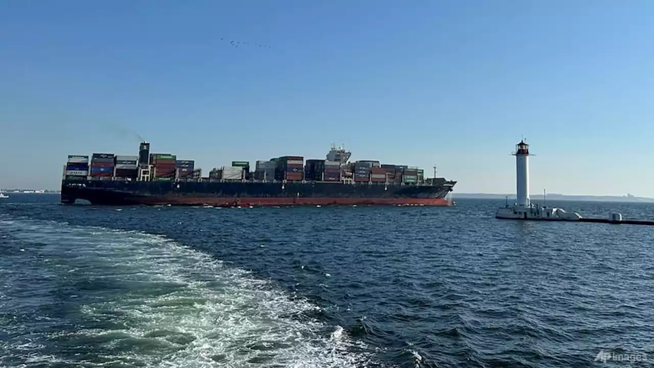 Ukraine port ship reaches Türkiye despite Russian blockade