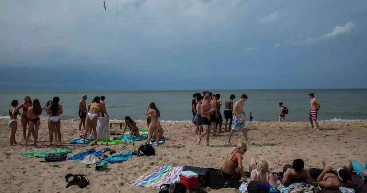 Police officer, good Samaritans rescue swimmers by Porter Beach