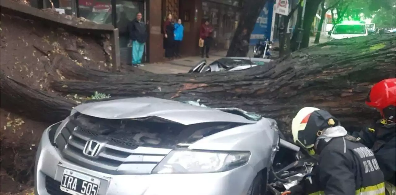 Un árbol de 20 metros se desplomó por las fuertes tormentas y destruyó un auto en Chacarita