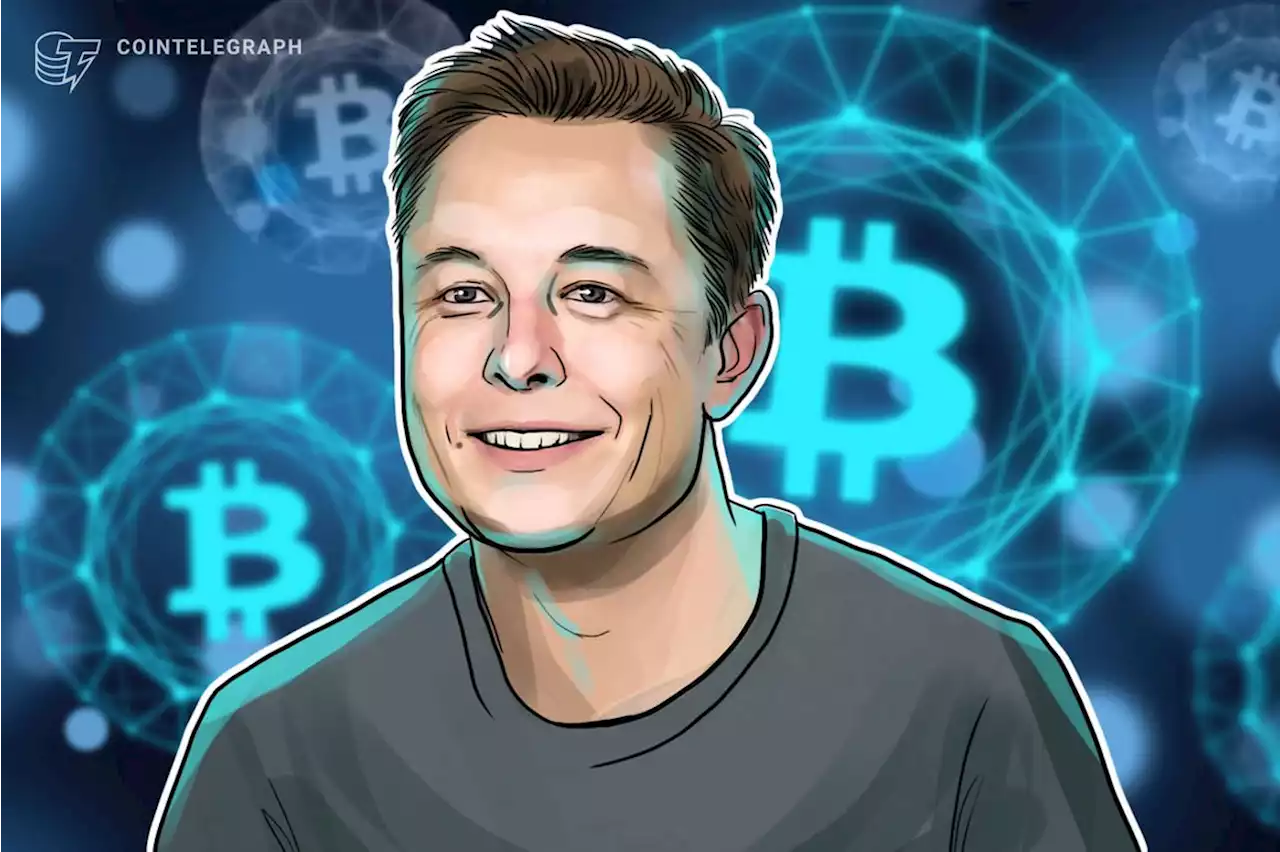 SpaceX Bitcoin write-down sparks confusion, Bitcoiners quiz Elon Musk