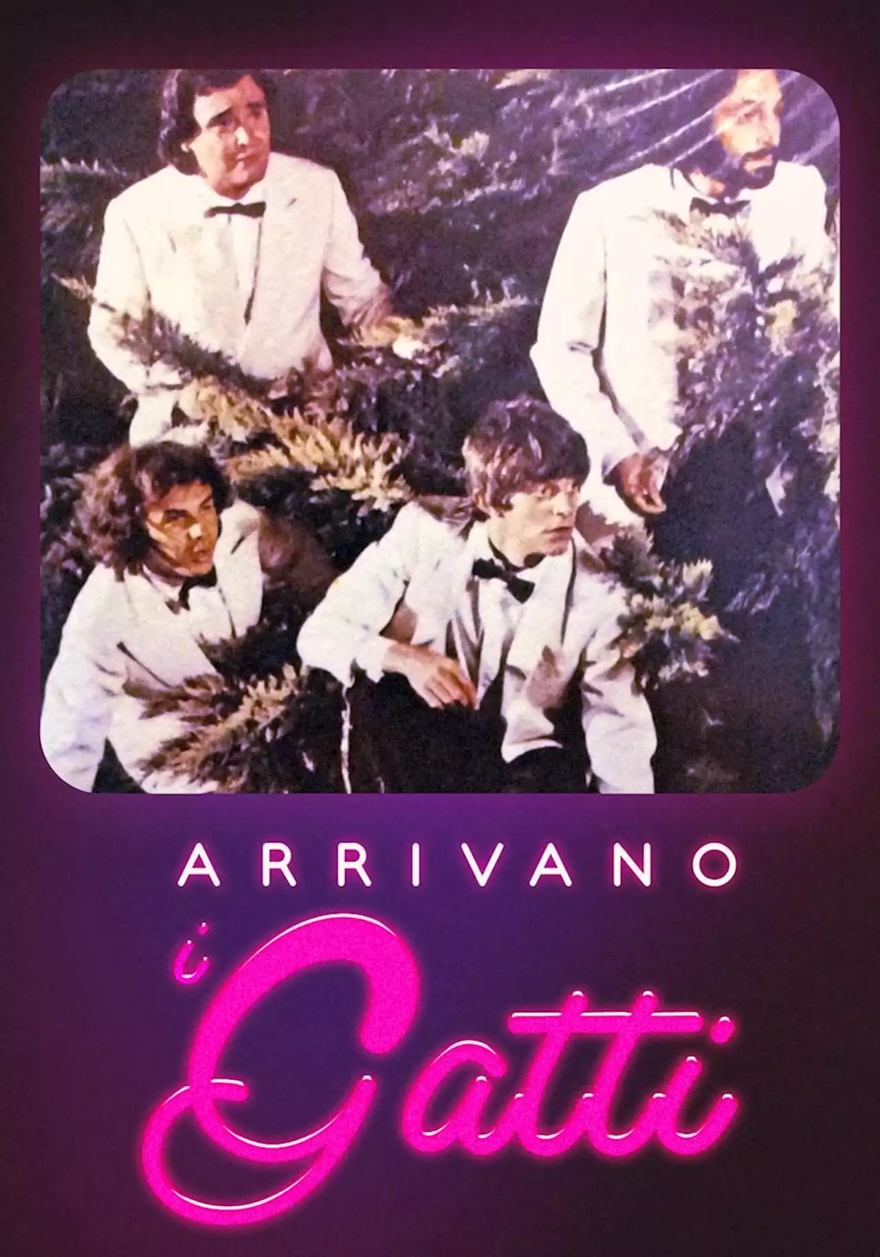 Arrivano i gatti - Film (1979)