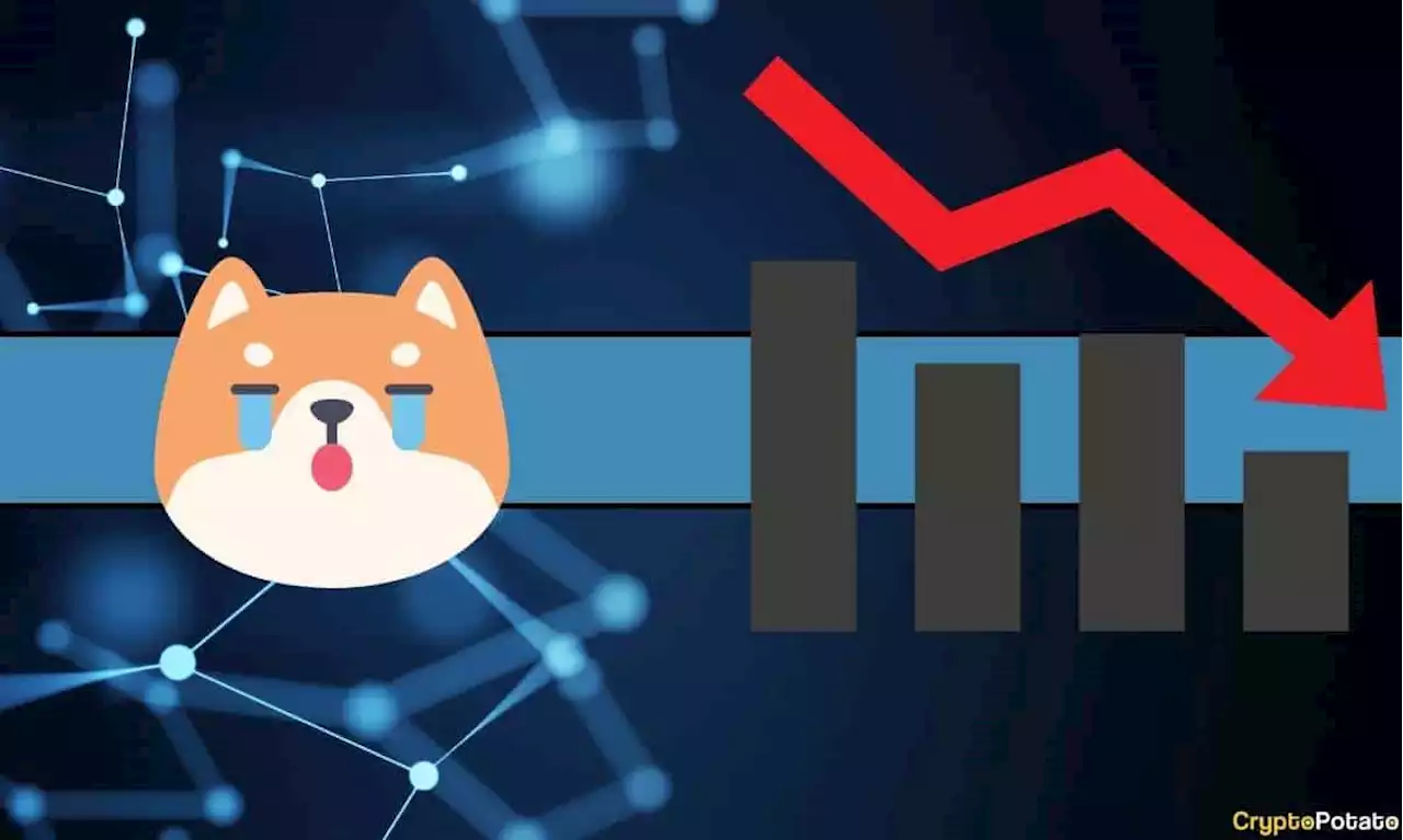 Why is Shiba Inu (SHIB) Crashing Despite Shibarium Launch? 2 Possible Reasons