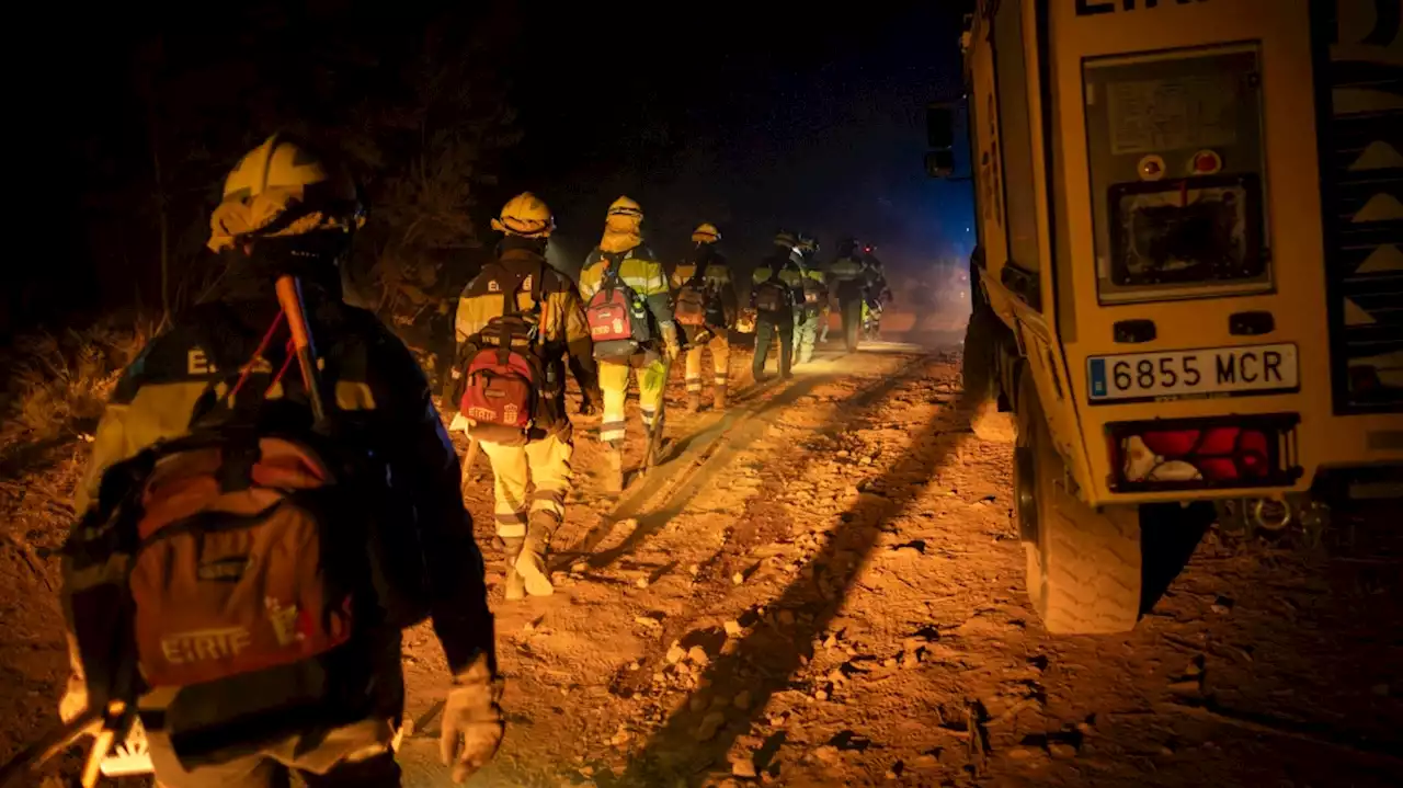 Firefighters battle through the night to halt wildfire in Spain's popular tourist island of Tenerife