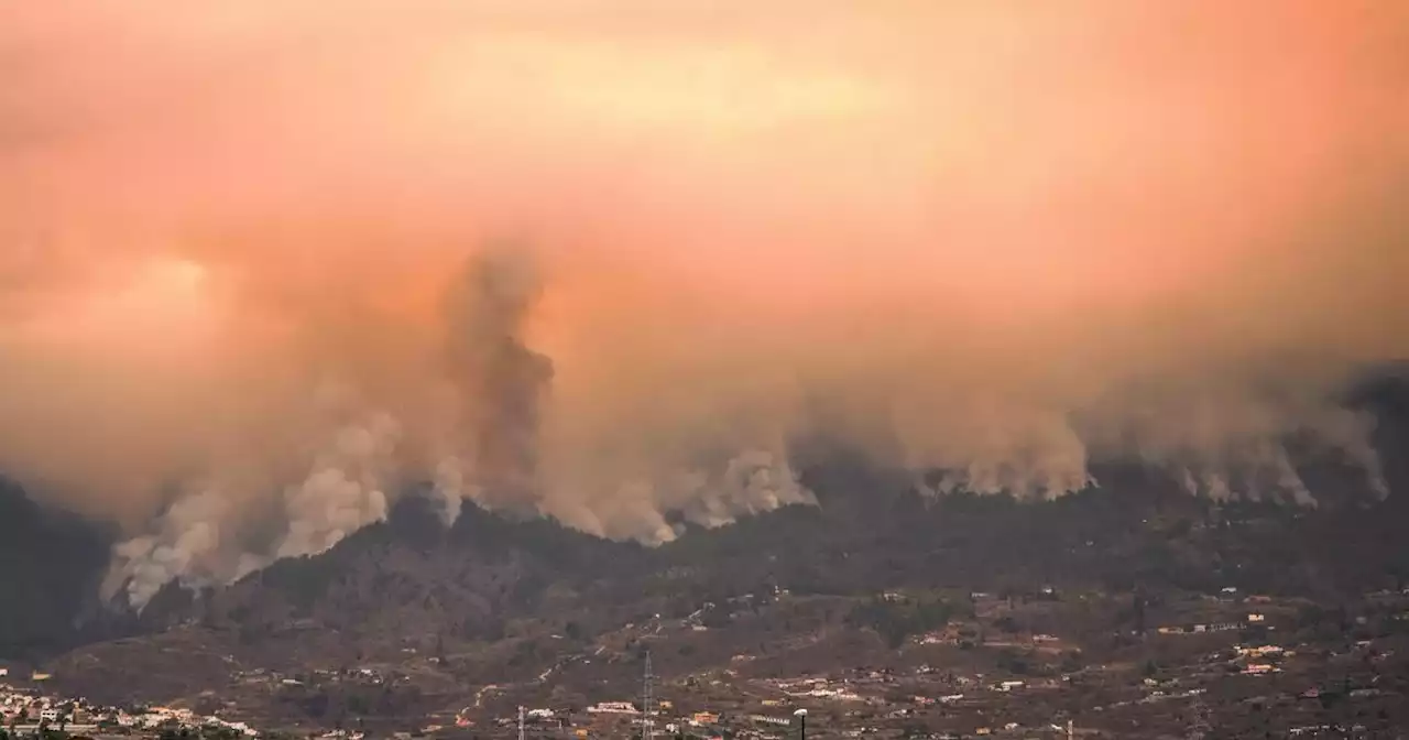 Tenerife wildfires and current safe travel advice - everything we know so far