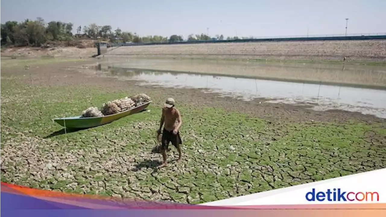 El Nino Mengancam, Mendag Jamin Harga-Stok Pangan Aman