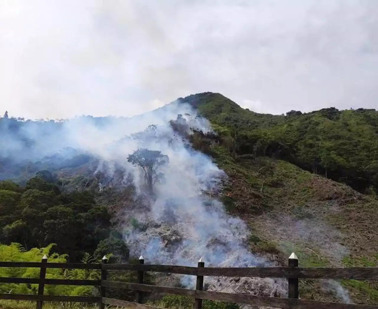 Barbosa declara alerta amarilla por incendios forestales