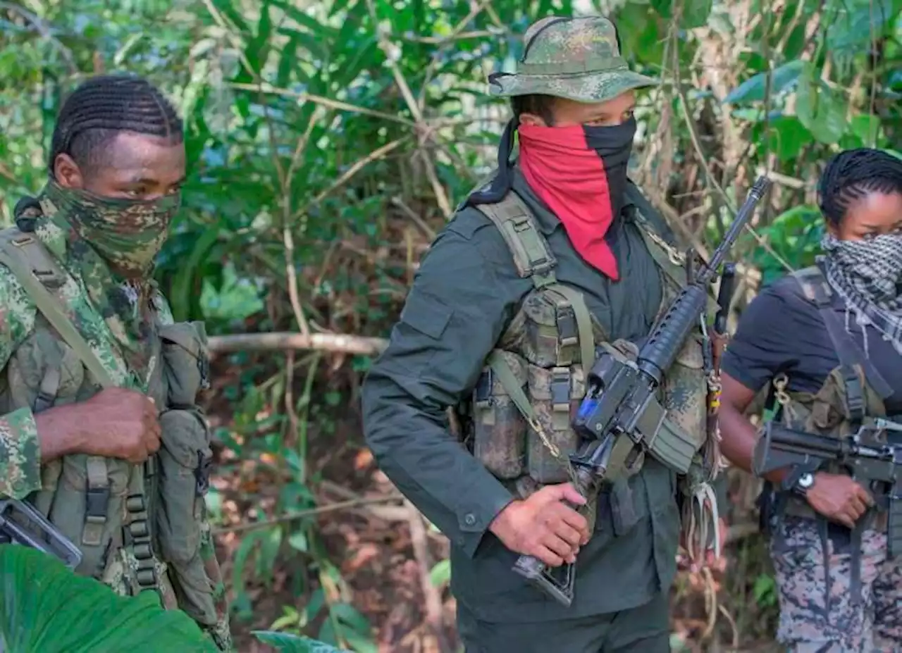 Enfrentamientos entre ELN y Clan del Golfo en Chocó provocaron “alto riesgo de desplazamiento” de 50 comunidades