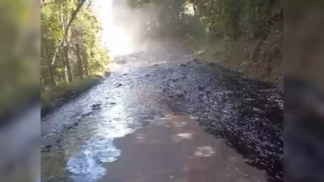 Atacan oleoducto Caño Limón Coveñas en Toledo, Norte de Santander