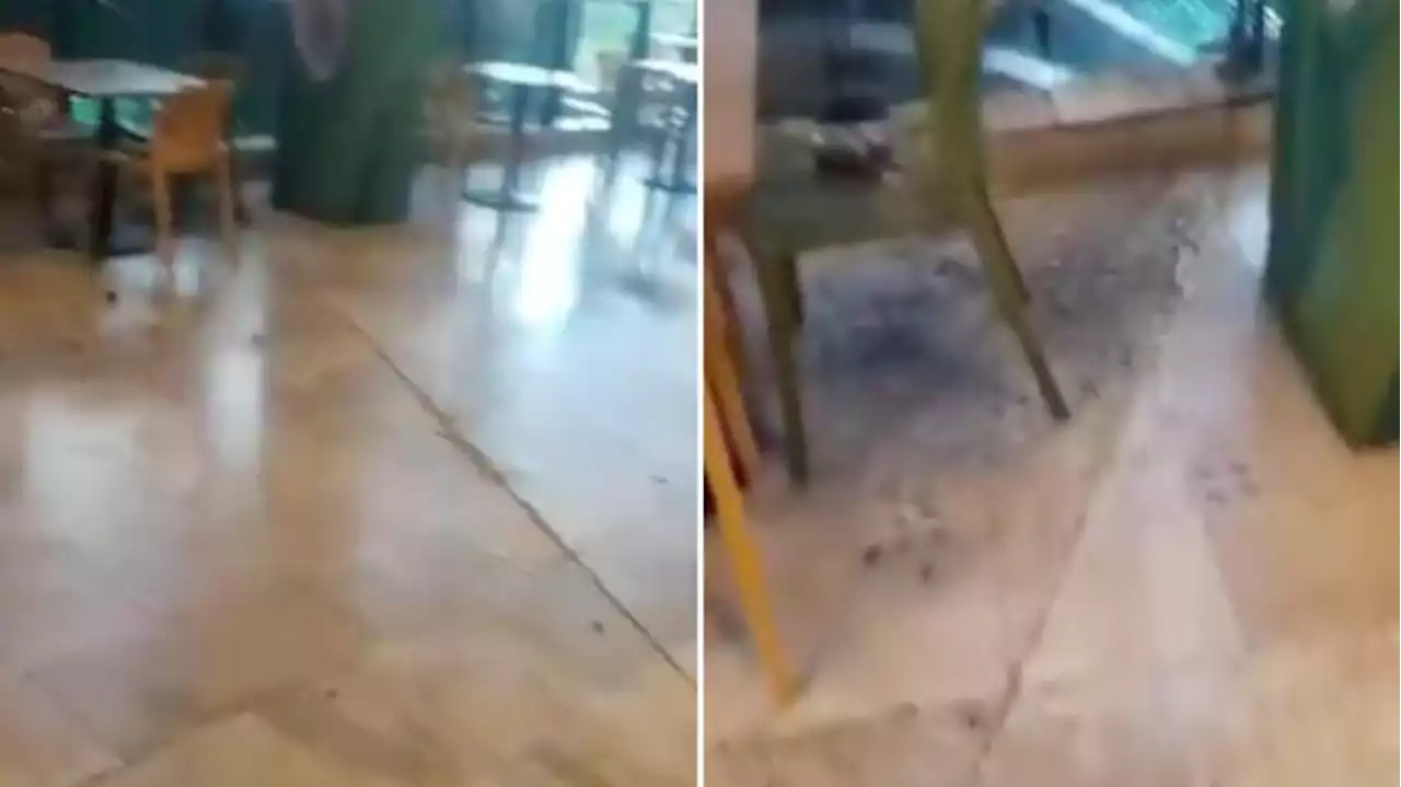 Temblor en Colombia: video muestra grieta en pleno centro comercial de Villavicencio