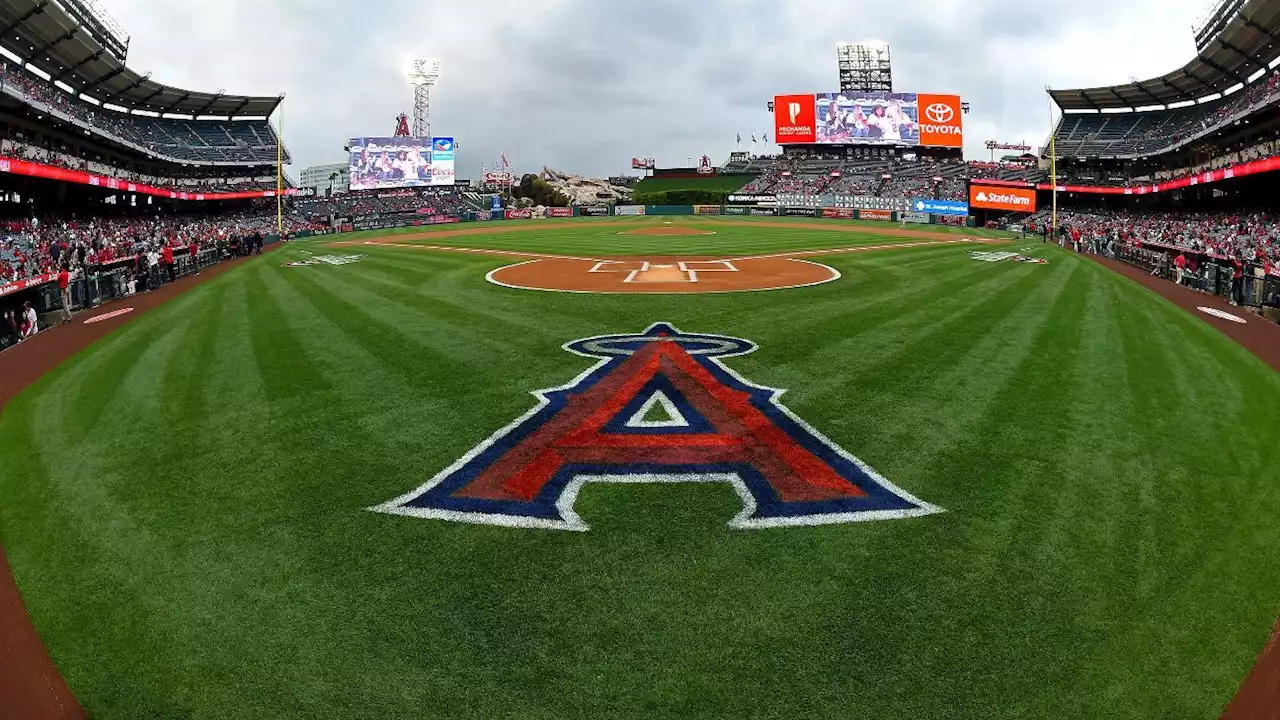 Sources: Angels call up '23 1st-rounder Schanuel