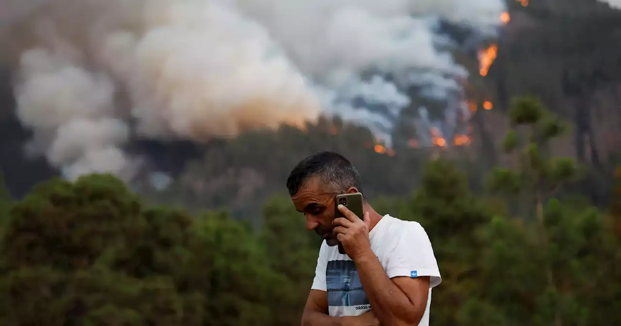 Chamas consumiram mais de 3200 hectares: Tenerife enfrenta o incêndio 'mais complicado' dos últimos 40 anos