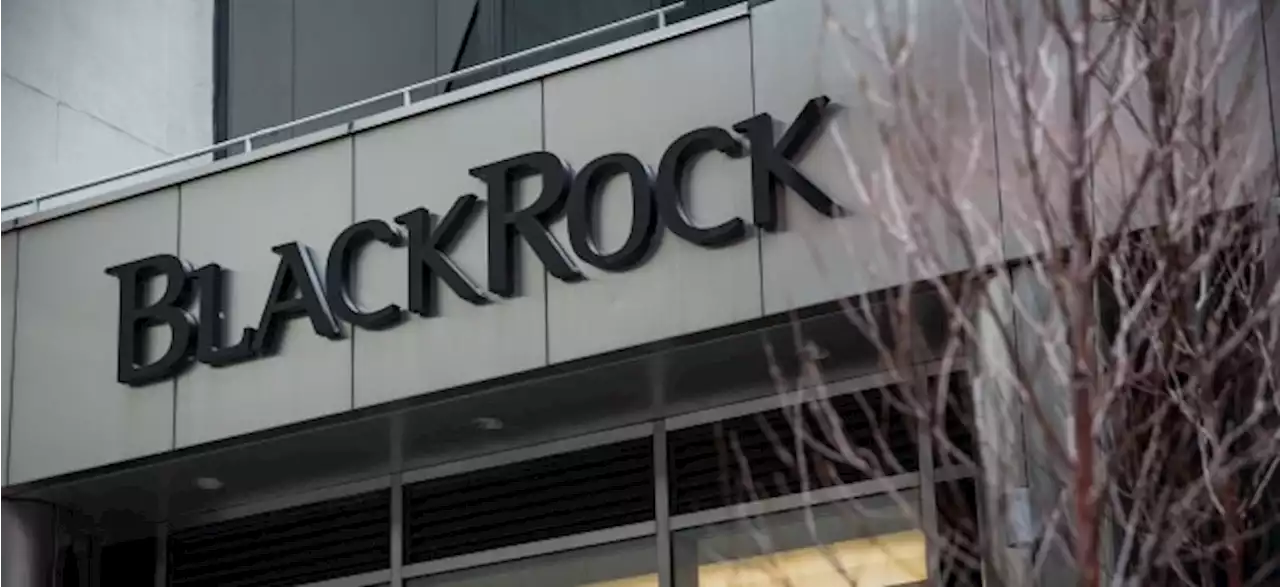 BlackRock-Prognose: Nachhaltige ETF-Vermögenswerte werden 400 Milliarden US-Dollar übersteigen