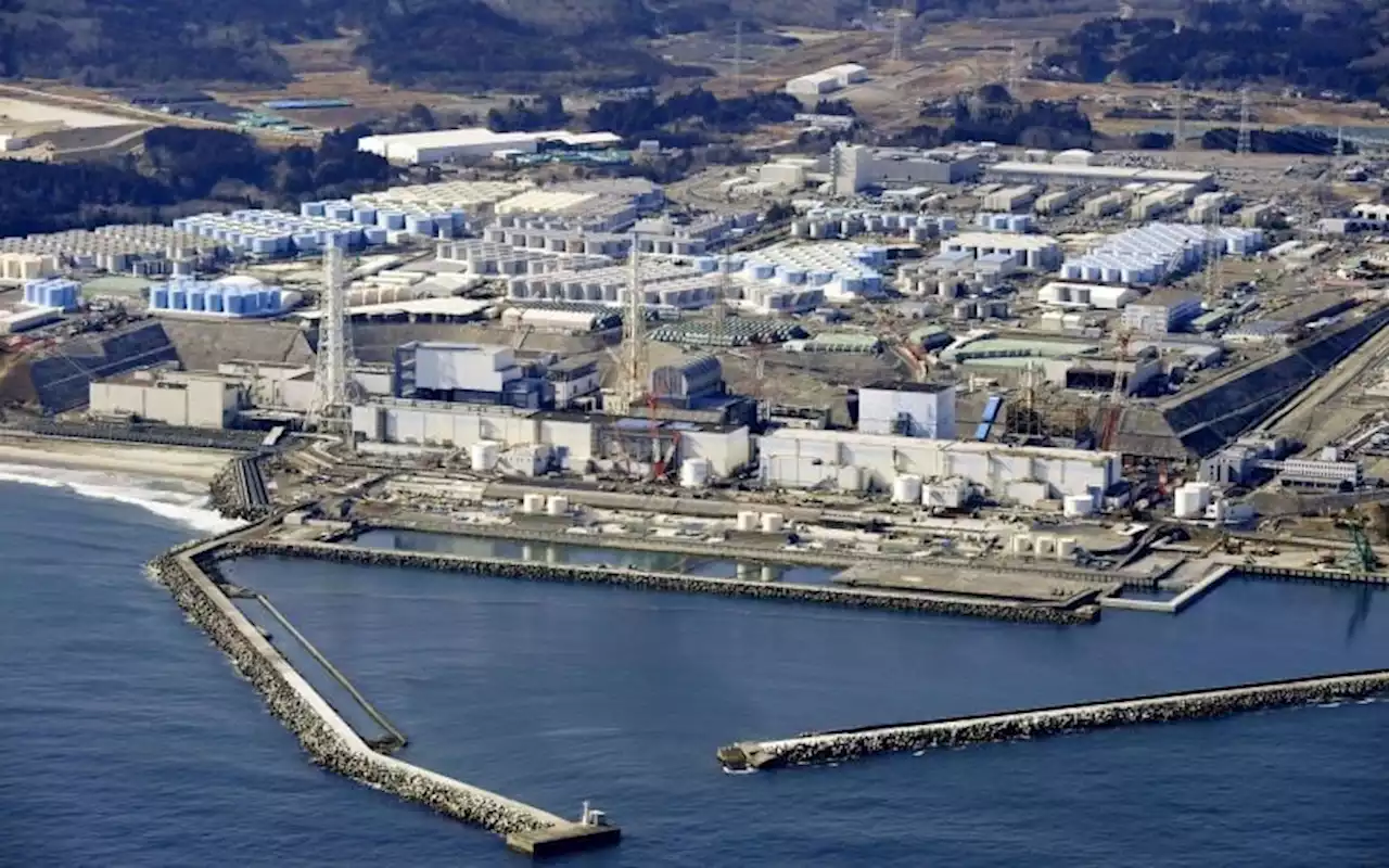 Fukushima wastewater release could cause global disaster, warns expert