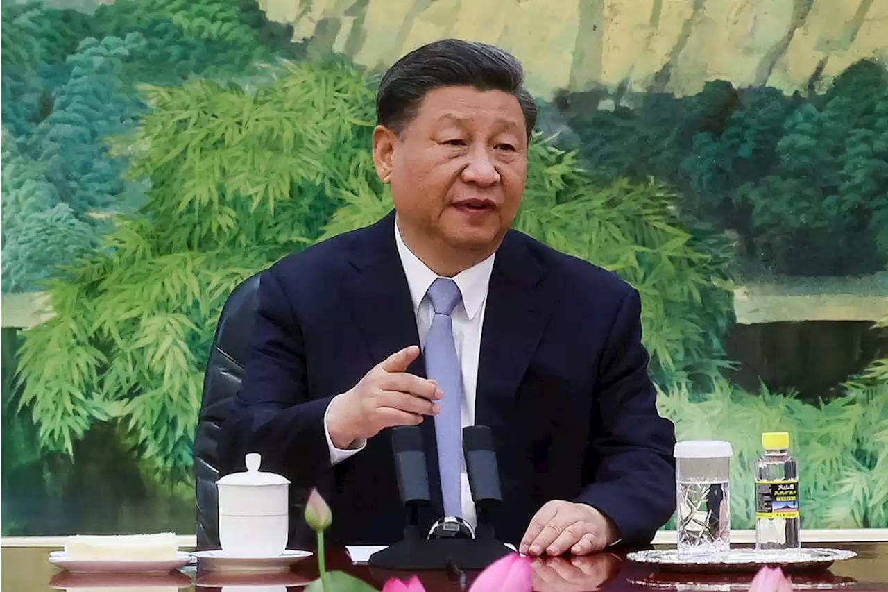 Xi to meet African leaders during BRICS summit