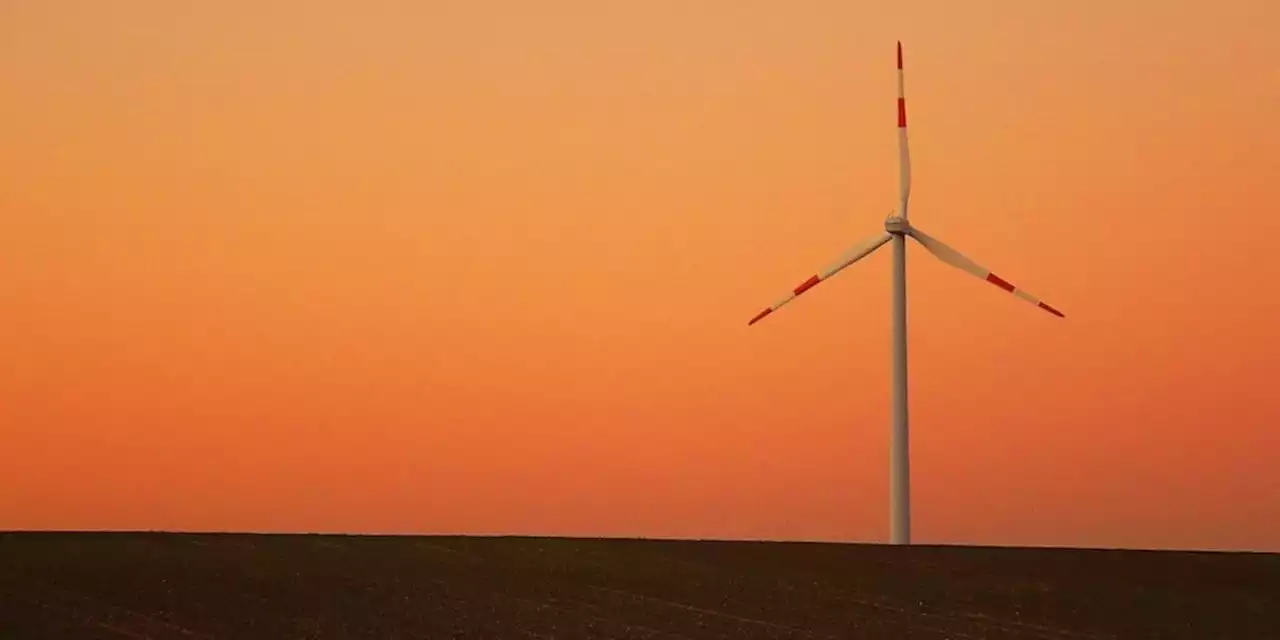 Neues Leben als Terrassen-Diele: Deutscher erfindet einzigartiges Verfahren, um Windräder zu recyclen