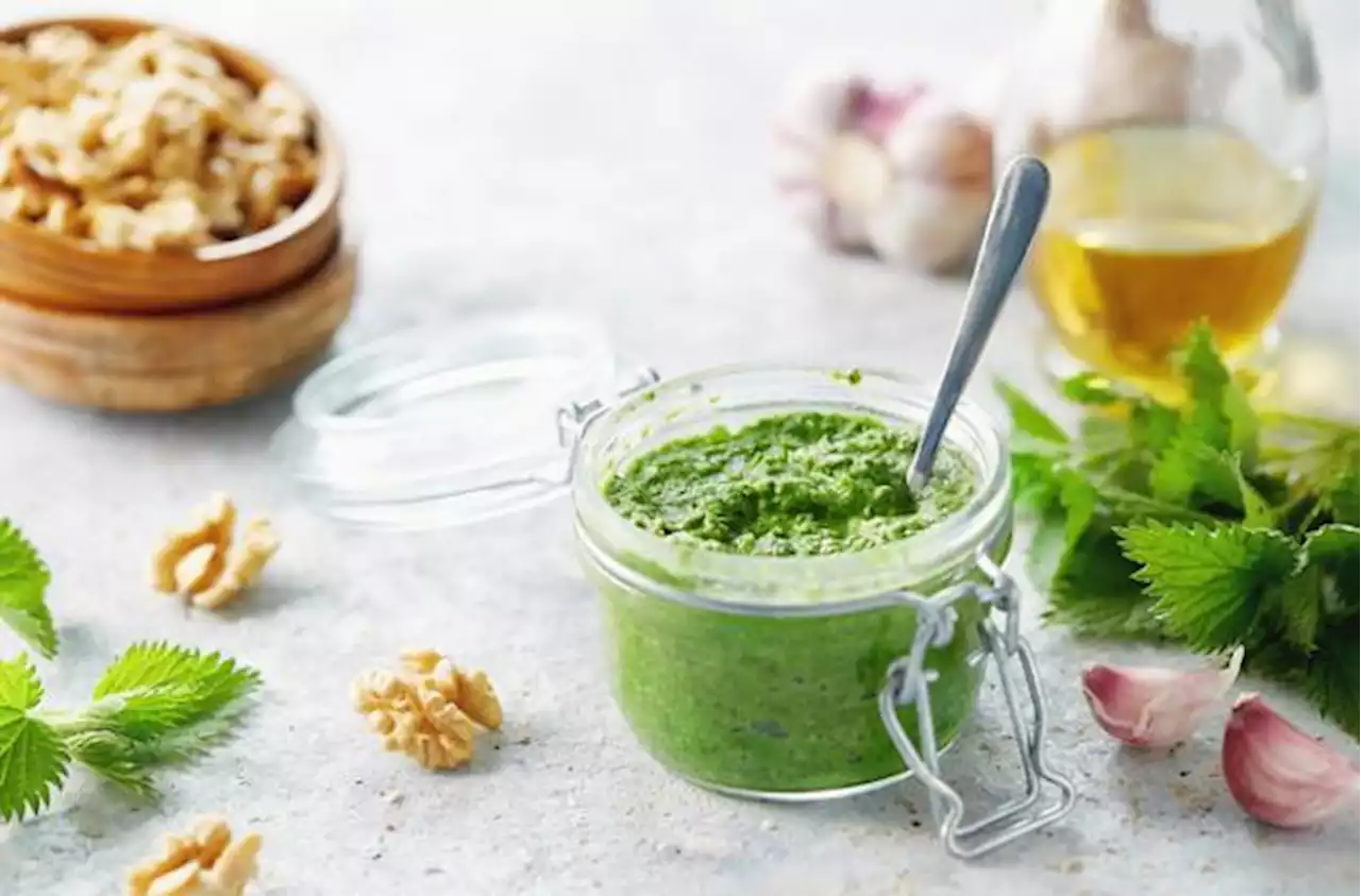 Spring Foraging: A Walnut Nettle Pesto Recipe