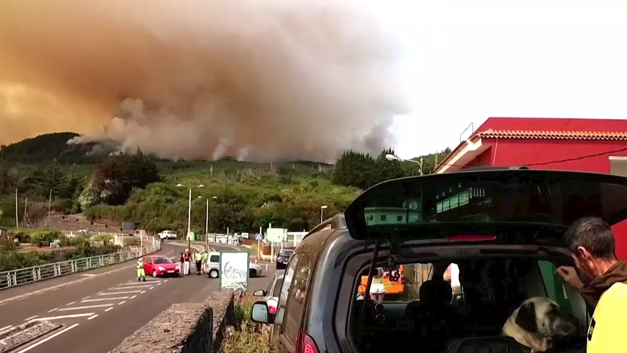 Incendios en Tenerife Avanzan sin Control; Evacuan a Más de 7 Mil Habitantes