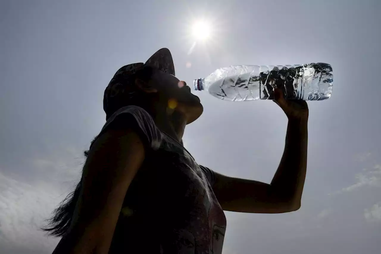 Canicule : qu'est-ce que l'hyponatrémie, risque pour la santé lors des fortes chaleurs ?