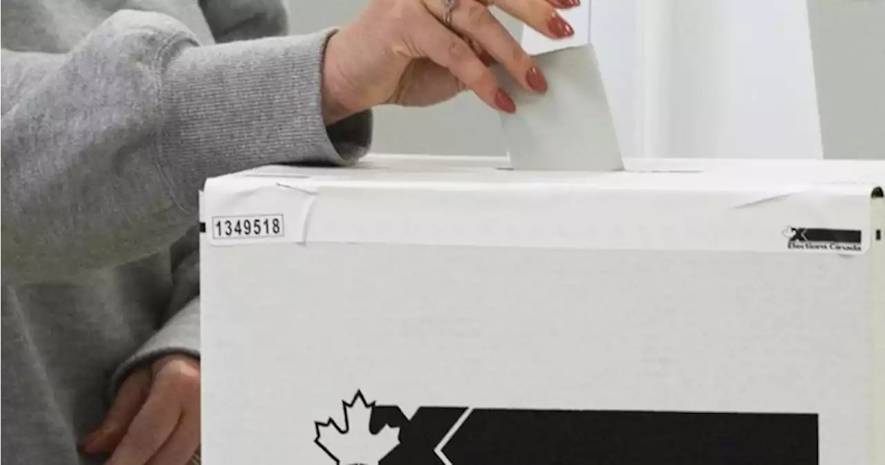 Elections Canada plans app so blind, visually impaired voters can OK ballot