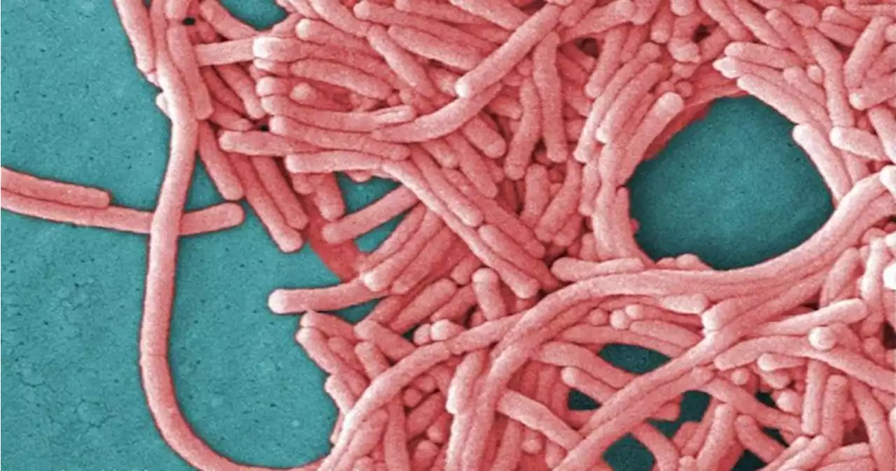 N.S. health officials unable to determine source of legionnaires’ disease outbreak