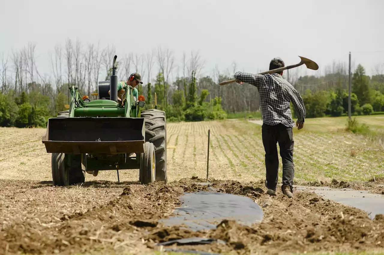 Opinion: Doug Ford is trying to gaslight voters about what he did in the Greenbelt