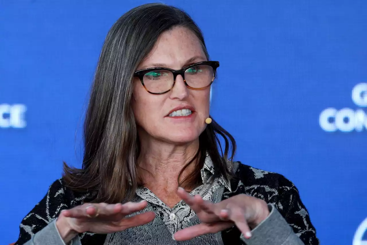 Tech sell-off, rising yields push Cathie Wood’s ARK ETF down 20% for month