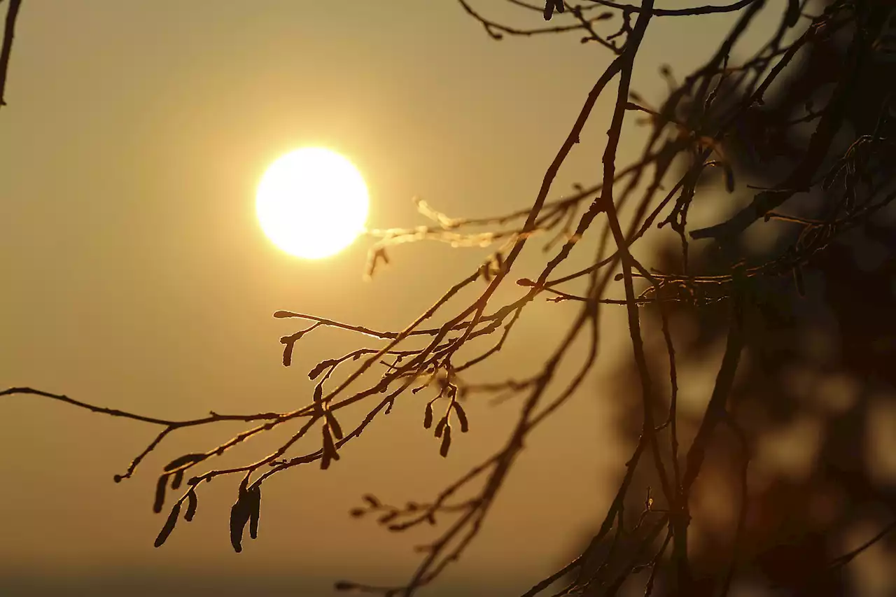 Nueva ola de calor en Sudamérica: temperaturas por encima de los 30 grados en pleno invierno