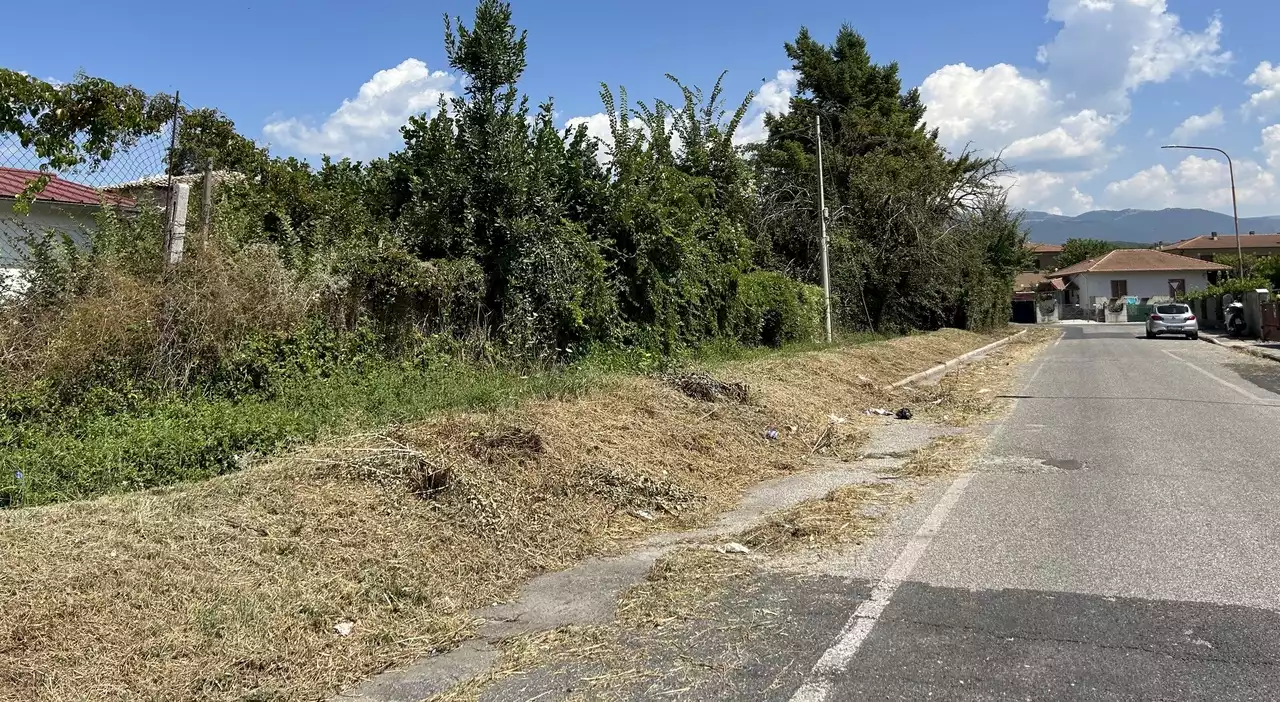 Pulizia delle erbacce in via Cellini dopo mesi, ma gli operai abbandonano gli sfalci in strada